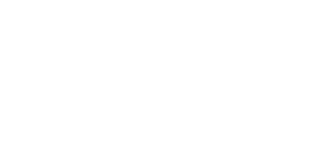 QIDI Logo